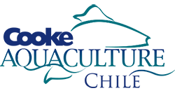 Cooke Aquaculture Chile